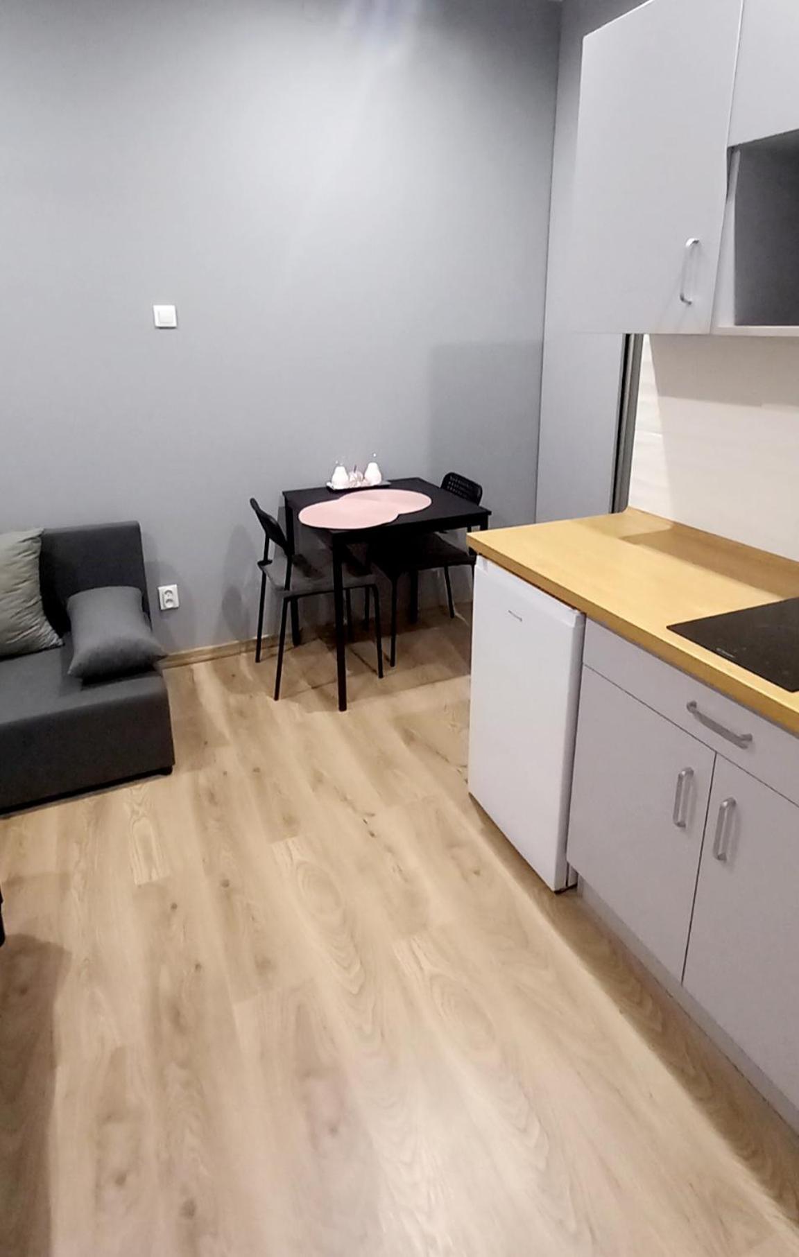 Hola Zelwerowicza Apartment