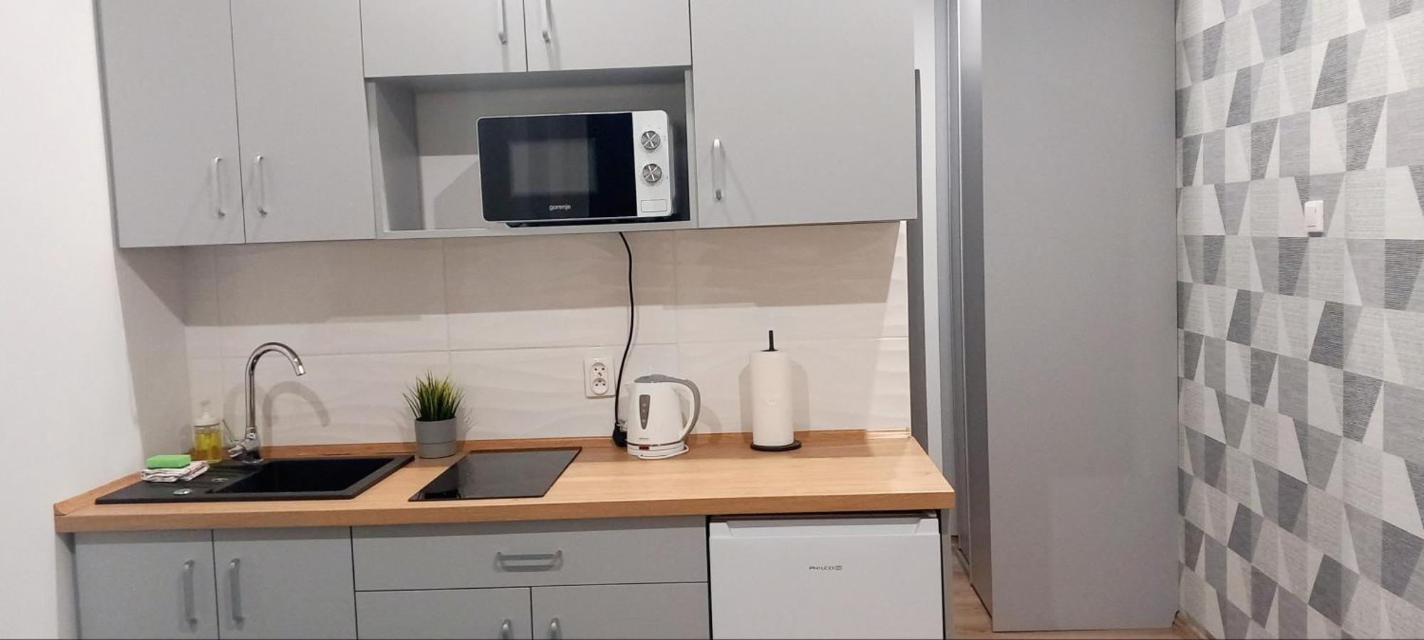 Hola Zelwerowicza Apartment